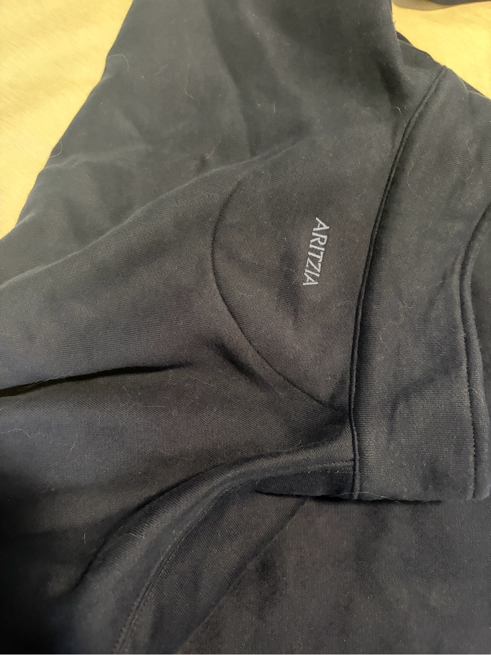 Aritzia Sweatshirt